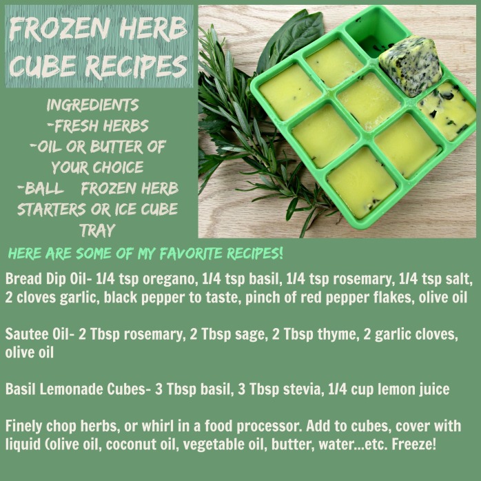 Frozen Herb Cube Recipes